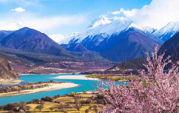 惠游西藏拉薩(布達拉宮+大昭寺)+林芝(巴松措+卡定溝)+西寧(青海湖)青藏連線有氧列車12日游（專列旅游）